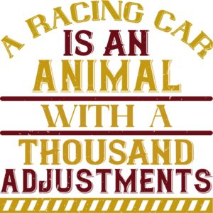 A racing car is an animal with a thousand adjustments Thumbnail